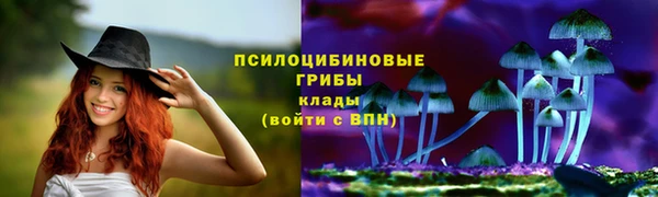 каннабис Алзамай