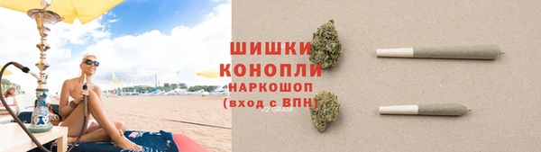 трава Аркадак